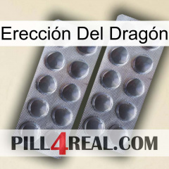 Erección Del Dragón 31